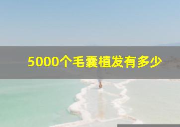 5000个毛囊植发有多少