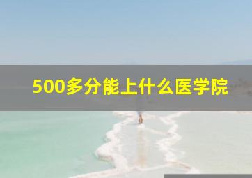 500多分能上什么医学院