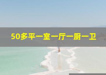 50多平一室一厅一厨一卫