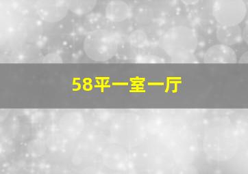 58平一室一厅