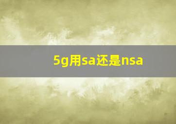 5g用sa还是nsa