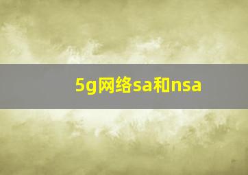 5g网络sa和nsa