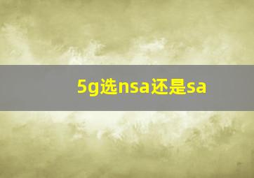 5g选nsa还是sa