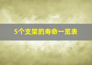 5个支架的寿命一览表