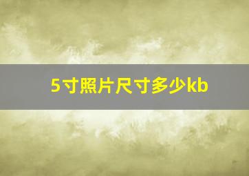 5寸照片尺寸多少kb