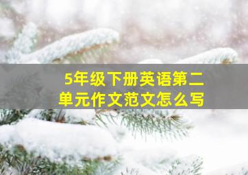 5年级下册英语第二单元作文范文怎么写