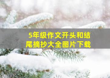 5年级作文开头和结尾摘抄大全图片下载