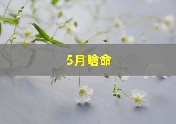 5月啥命