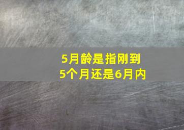 5月龄是指刚到5个月还是6月内