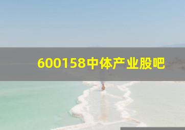 600158中体产业股吧