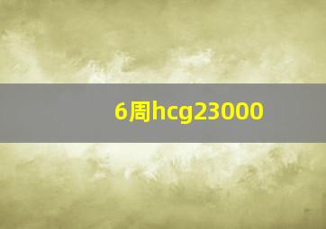 6周hcg23000