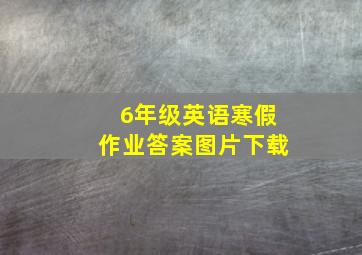 6年级英语寒假作业答案图片下载