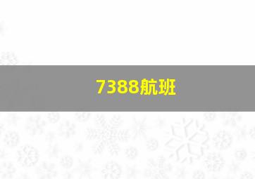 7388航班