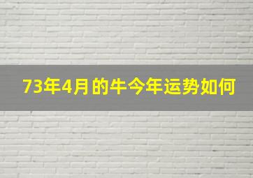 73年4月的牛今年运势如何