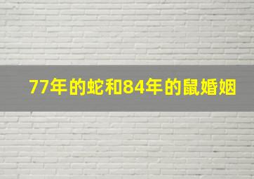 77年的蛇和84年的鼠婚姻