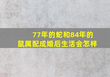 77年的蛇和84年的鼠属配成婚后生活会怎样