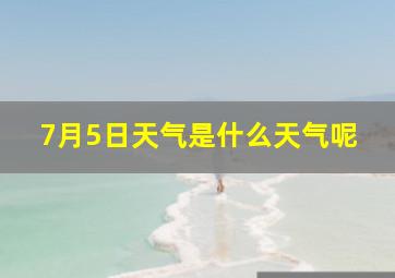 7月5日天气是什么天气呢