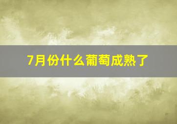 7月份什么葡萄成熟了