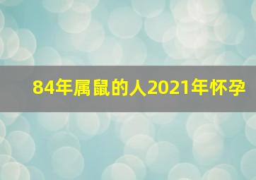 84年属鼠的人2021年怀孕