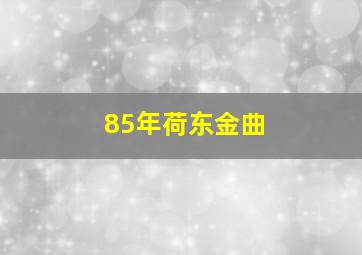 85年荷东金曲