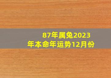 87年属兔2023年本命年运势12月份