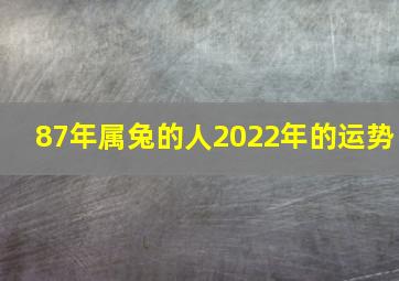 87年属兔的人2022年的运势