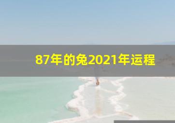 87年的兔2021年运程