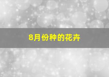 8月份种的花卉