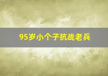 95岁小个子抗战老兵