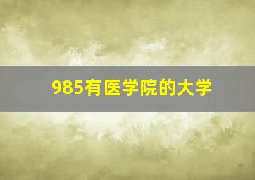 985有医学院的大学