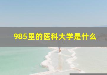 985里的医科大学是什么