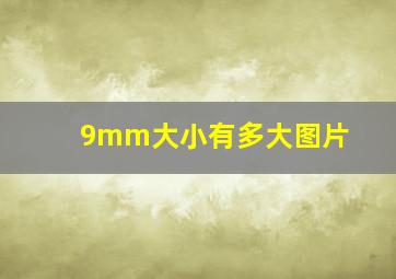 9mm大小有多大图片