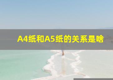 A4纸和A5纸的关系是啥