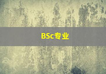 BSc专业