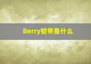 Berry韧带是什么