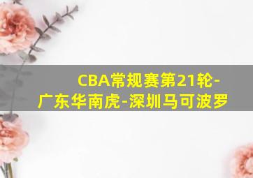 CBA常规赛第21轮-广东华南虎-深圳马可波罗