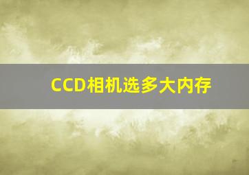 CCD相机选多大内存