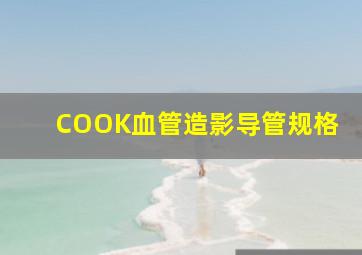 COOK血管造影导管规格