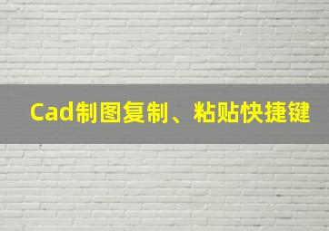 Cad制图复制、粘贴快捷键