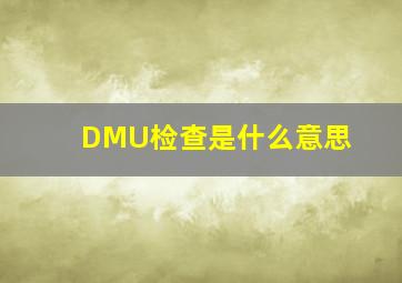 DMU检查是什么意思