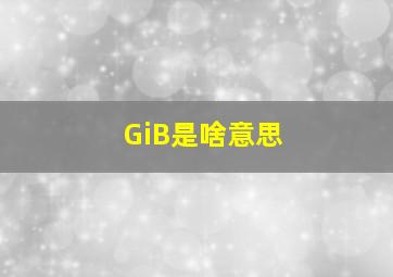 GiB是啥意思