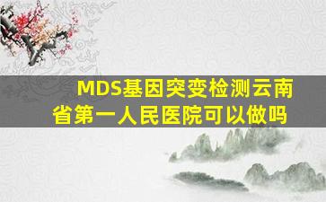 MDS基因突变检测云南省第一人民医院可以做吗