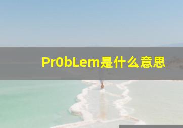 Pr0bLem是什么意思