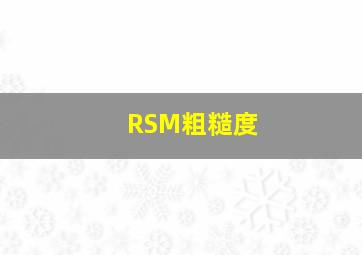 RSM粗糙度