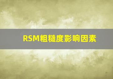 RSM粗糙度影响因素