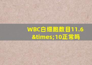 WBC白细胞数目11.6×10正常吗