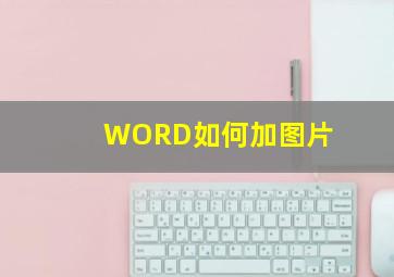 WORD如何加图片