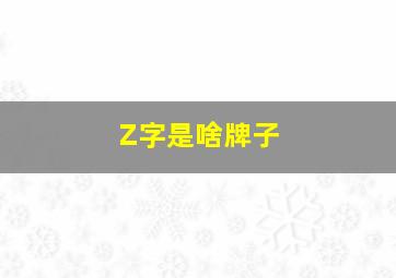 Z字是啥牌子