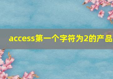 access第一个字符为2的产品