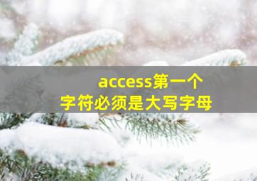 access第一个字符必须是大写字母